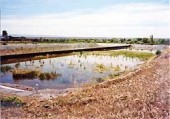 Lagoon Sewage Treatment