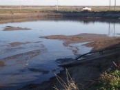 Swine Manure Lagoon